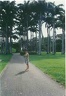 1997 martinique 006