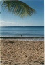 1997 martinique 027