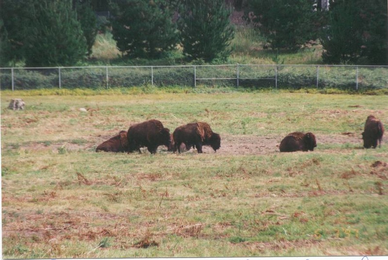 1997 etats-unis 053