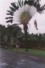 1999 martinique 001