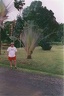 1999 martinique 002