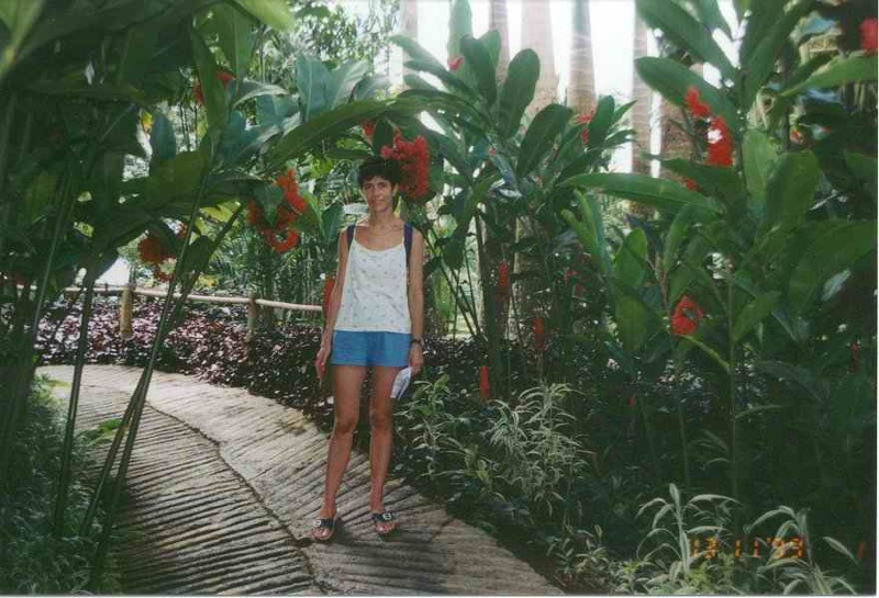 1999 martinique 005