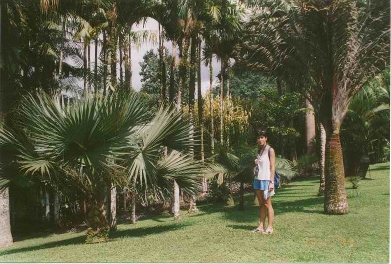 1999 martinique 006