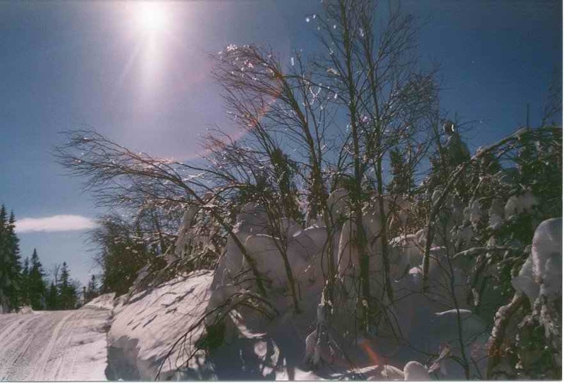 2000 canada 018