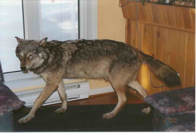 2000 canada 028