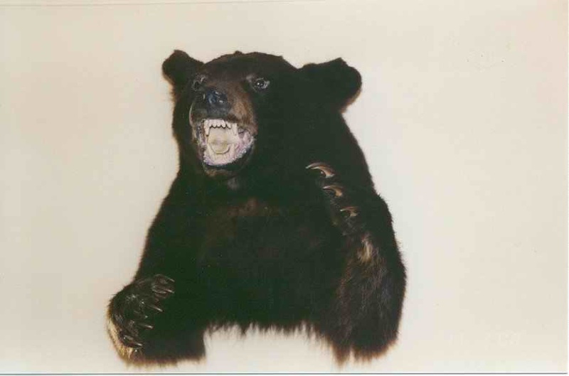 2000 canada 029