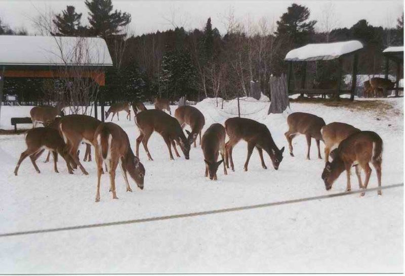 2000 canada 044