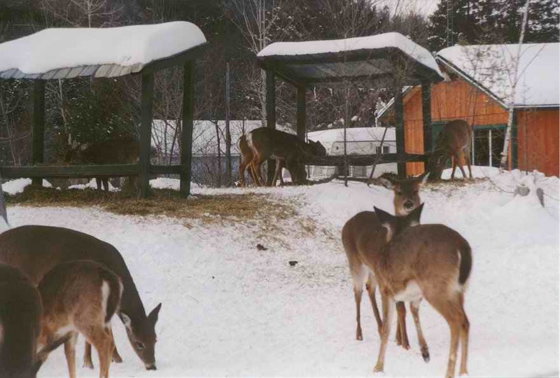 2000 canada 045