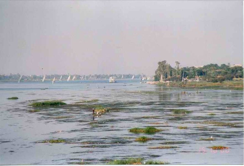 2000 egypte 025