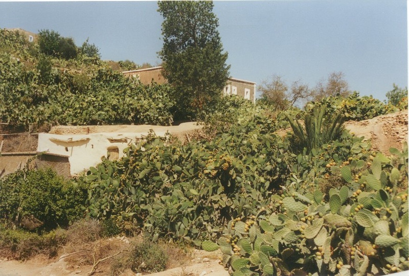 2000 maroc 018