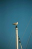 2001 voile groix 010
