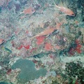 2002 guadeloupe 011