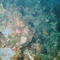2002 guadeloupe 012