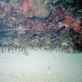 2002 guadeloupe 018