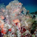 2002 guadeloupe 020