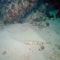 2002 guadeloupe 021