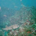 2002 guadeloupe 022