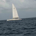 2002 guadeloupe 026