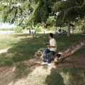 2002 guadeloupe 034