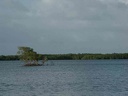 2002 guadeloupe 040