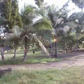 2002 guadeloupe 044