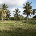 2002 guadeloupe 045