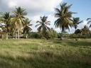 2002 guadeloupe 045