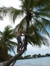 2002 martinique 026