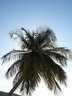 2002 martinique 043