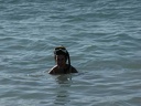 2002 martinique 045