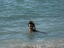 2002 martinique 046