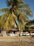 2002 martinique 051