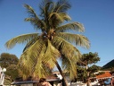 2002 martinique 055
