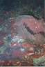 2002 oct martinique 057