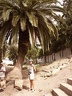 2002 tunisie 022