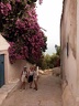2002 tunisie 040