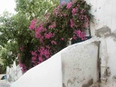 2002 tunisie 041