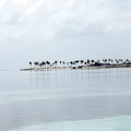 2003 maldives 101