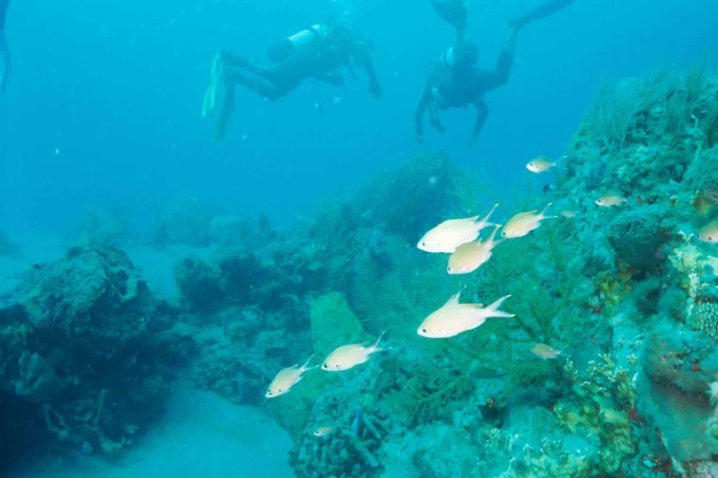 2003 martinique 001
