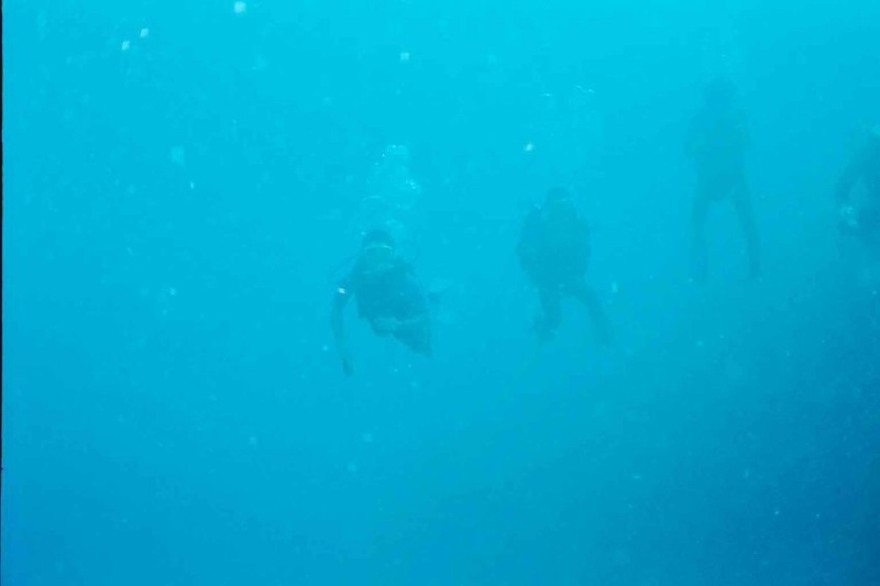 2003 martinique 004