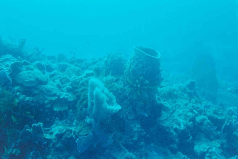 2003 martinique 008