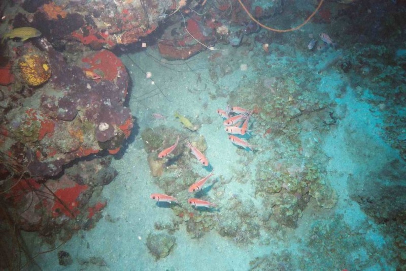 2003 martinique 011