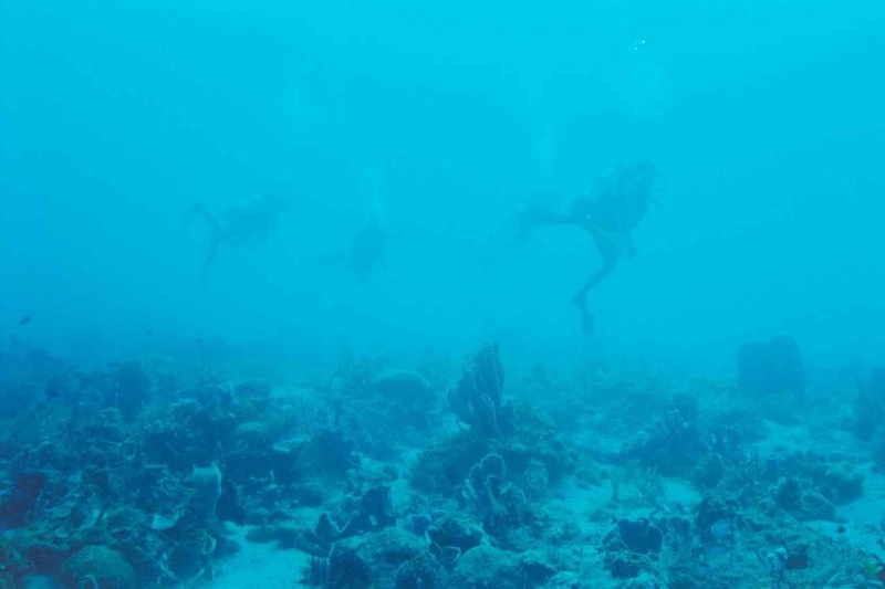 2003 martinique 013