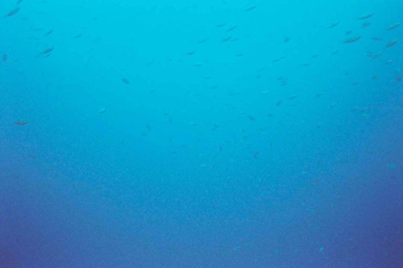 2003 martinique 016