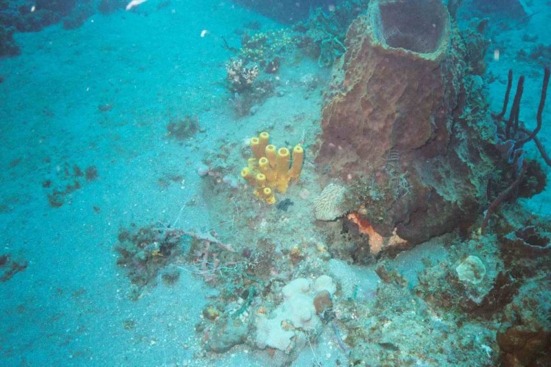 2003 martinique 017