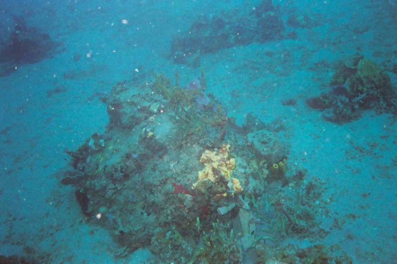 2003 martinique 018