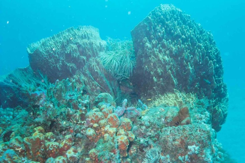 2003 martinique 020