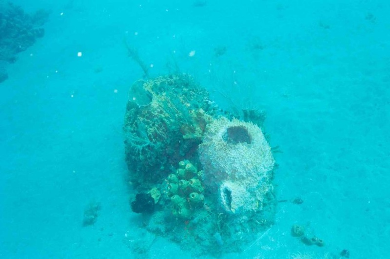 2003 martinique 023