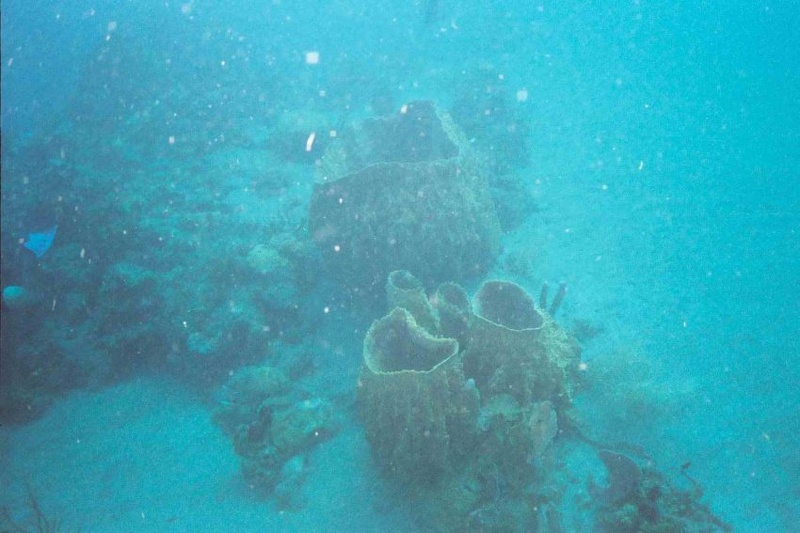 2003 martinique 026