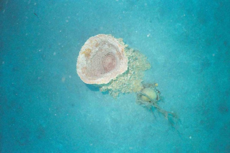 2003 martinique 027